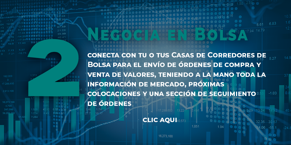 portada web plataforma RDO