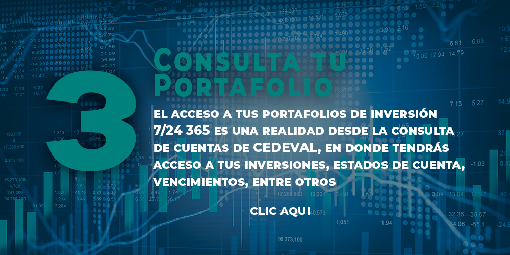 portada web plataforma consulta
