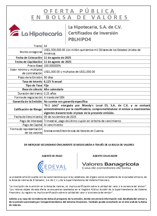 PUBLICACIÓN PBHIPO4 44