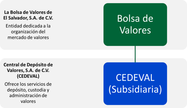 Esquema del Grupo Organizacional